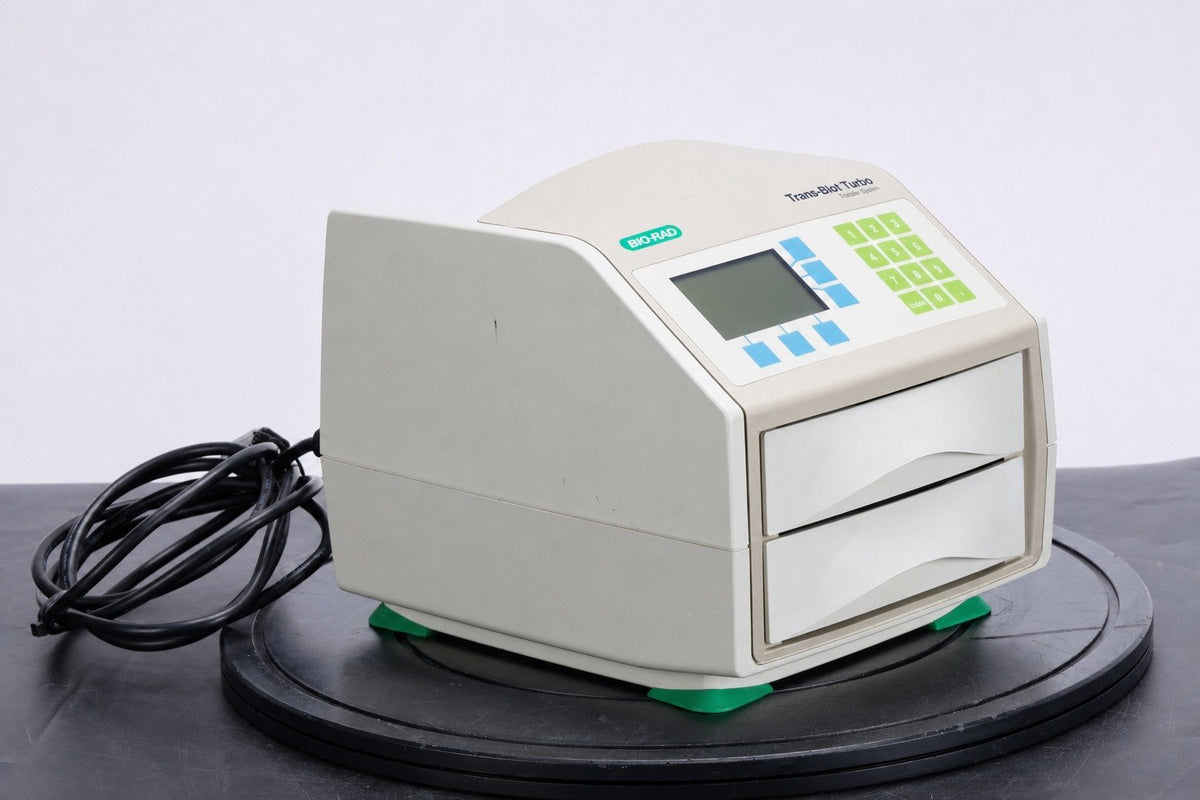 10-909029