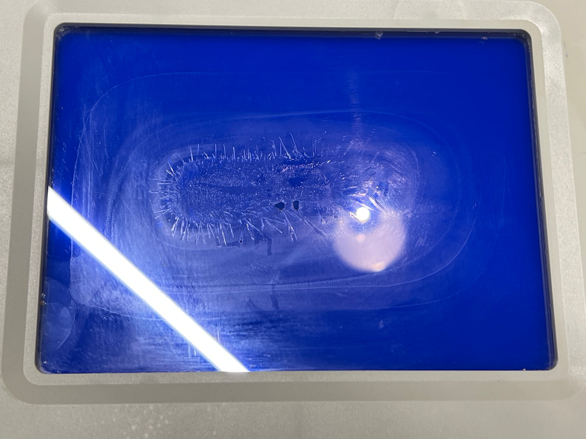 10-891876