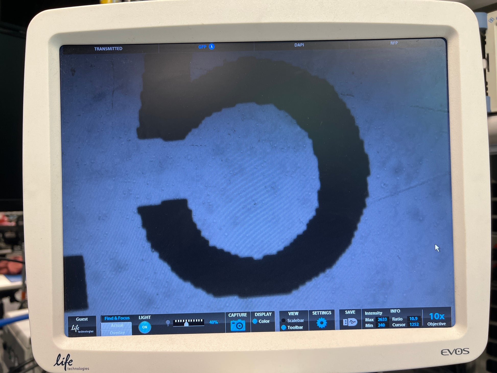 10-780499