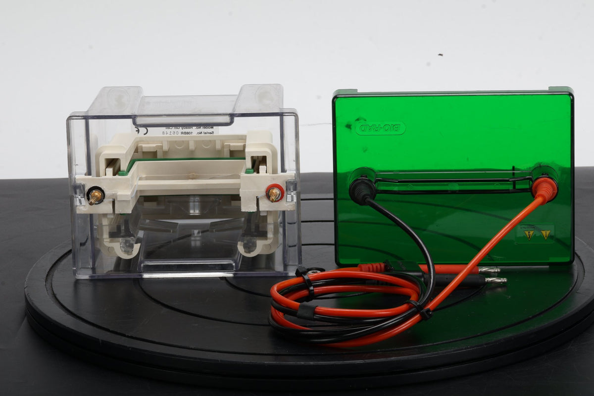 10-906981